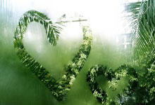 Accenture: The AI Hype, Stock Drama, and Layoff Reality – What Reddit's Saying