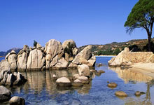 Accenture: The AI Hype, Stock Drama, and Layoff Reality – What Reddit's Saying